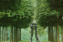 couple-foret.jpg