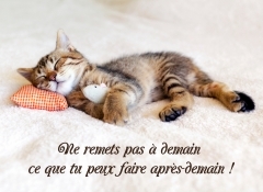 humour (1).jpg