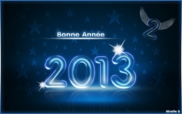 VOEUX2013-Lumineux.jpg