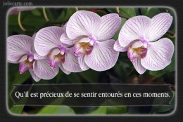 toussaint-entoures.jpg