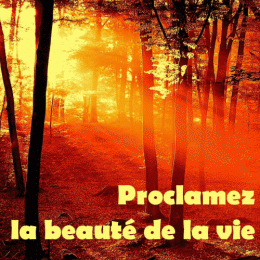 beaute de la vie1.gif