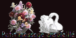 29-message.gif