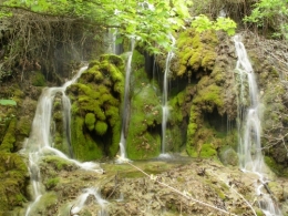 cascade%20C%20Meille.jpg