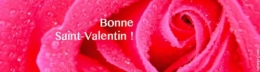 Saint-Valentin.jpg