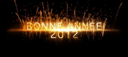bonne annee 2012.jpg