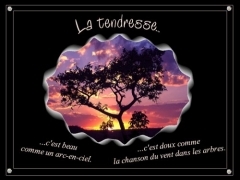 tendresse1.jpg