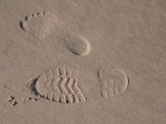DSCN0458.JPG