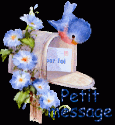 10-message.gif