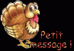 11-message.gif