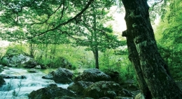 vacances nièvre4.jpg