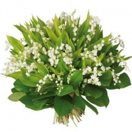 bouquet-de-100-brins-de-muguet.jpg