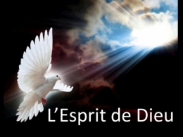 ESPRIT172242426335076418_n.jpg