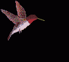 oiseau22.gif
