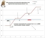 Smic_Auchan.jpg