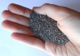 chia,graines de chia,chia argentine,super aliment,aliment diététique,alternative agricole,soja,aztèque