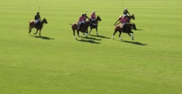polo, argentine, abierto palermo, histoire du polo en Argentine, alegria
