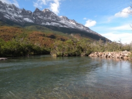 A-ruisseau saumon-patagonie.JPG