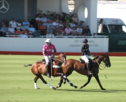 DSCN9941.JPG