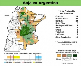 soja en Argentine.jpg