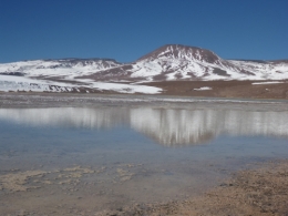 s497.jpg