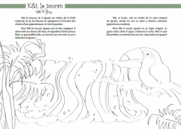 intérieur Kiki le toucan.png