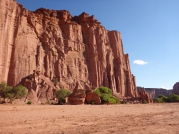 s353.jpg
