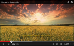 Film-institutionnel-Monsanto.png
