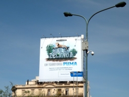 puma.JPG