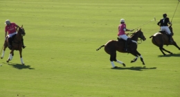 DSCN9937.JPG