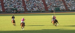 polo, argentine, abierto palermo, histoire du polo en Argentine, alegria