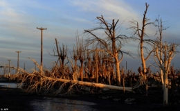 Epecuen coucher du soleil.jpg