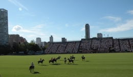 polo, argentine, abierto palermo, histoire du polo en Argentine, alegria