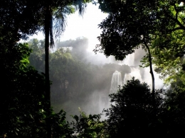DSCN3130.JPG