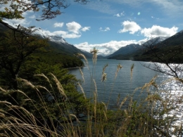 Lago del desierto Patagonie.jpg