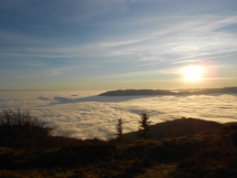 DSCN0425.JPG