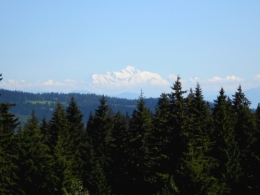DSCN0013.JPG