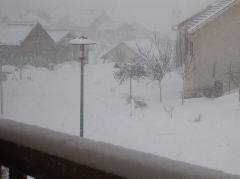 DSCN7187a.jpg