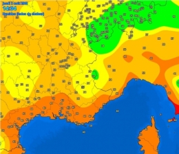 CANI 2.JPG