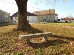 DSCN1720.JPG