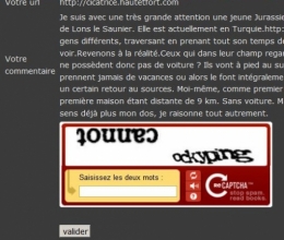 capcha fou.jpg