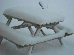 DSCN0491.JPG