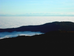 DSCN0414a.jpg
