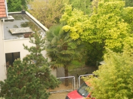 DSCN1198.JPG