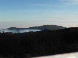 DSCN0412.JPG