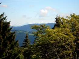 DSCN0115.JPG