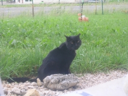 DSCN7540.JPG