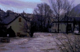 crue mende m.jpg