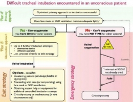 IntubDiffCANADA Algo 1.JPG