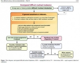 IntubDiffCANADA Algo 2.JPG