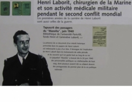 Laborit.jpg